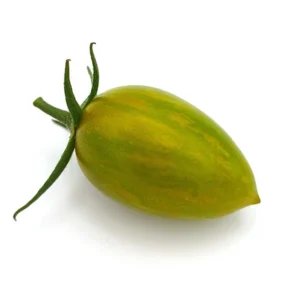 Tomates cerises Lucky Tiger