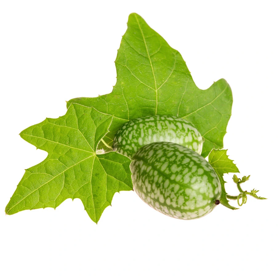 Cucamelon