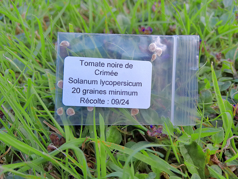 Sachet de graines de tomates noires de crimée