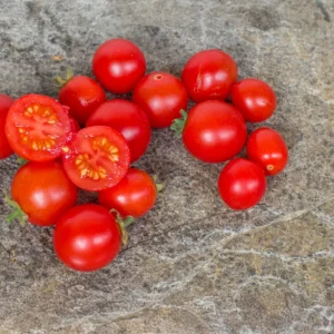 Tomates cerises Red Robin