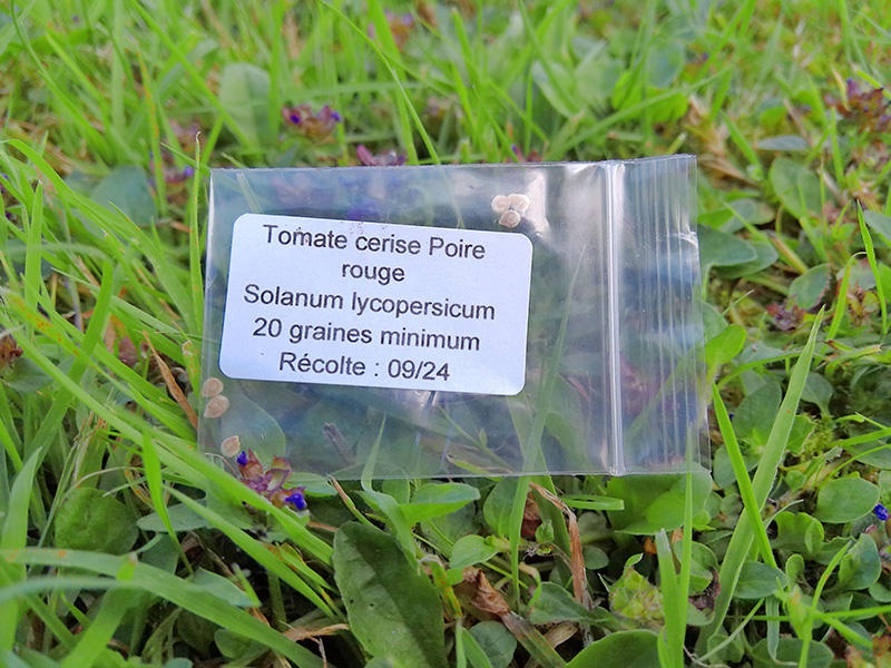 Sachet de graines de Tomates cerises poire rouge