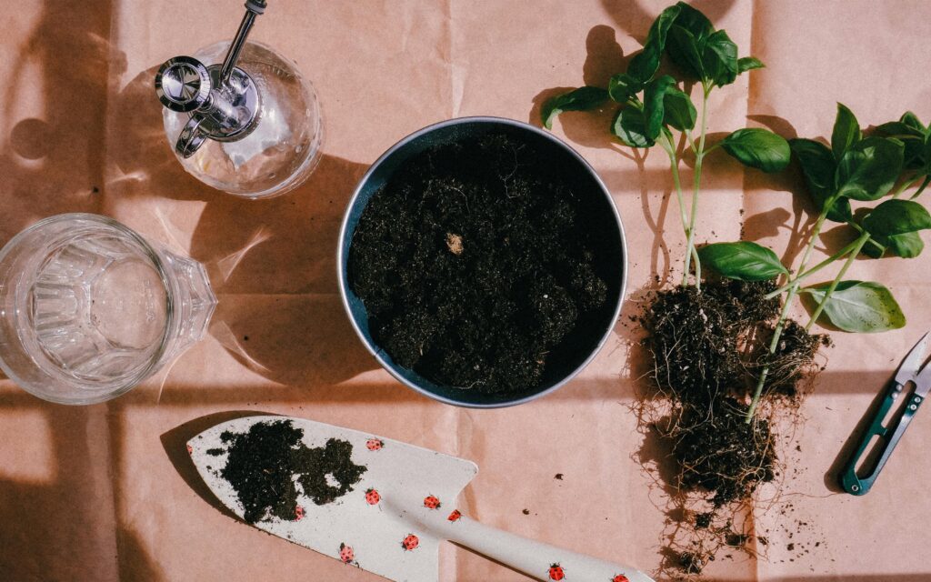 Pot posé sur une table